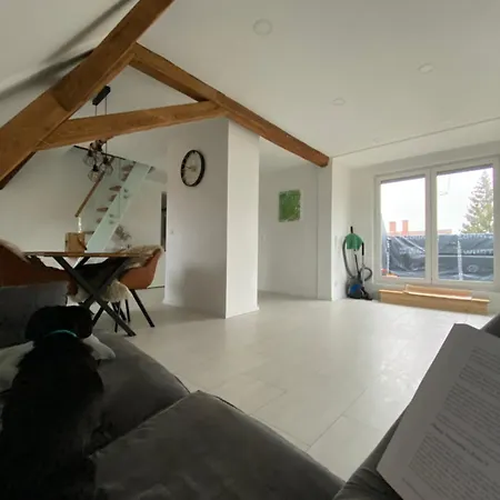 Maisonette Mit Loft Charakter اوغسبورغ